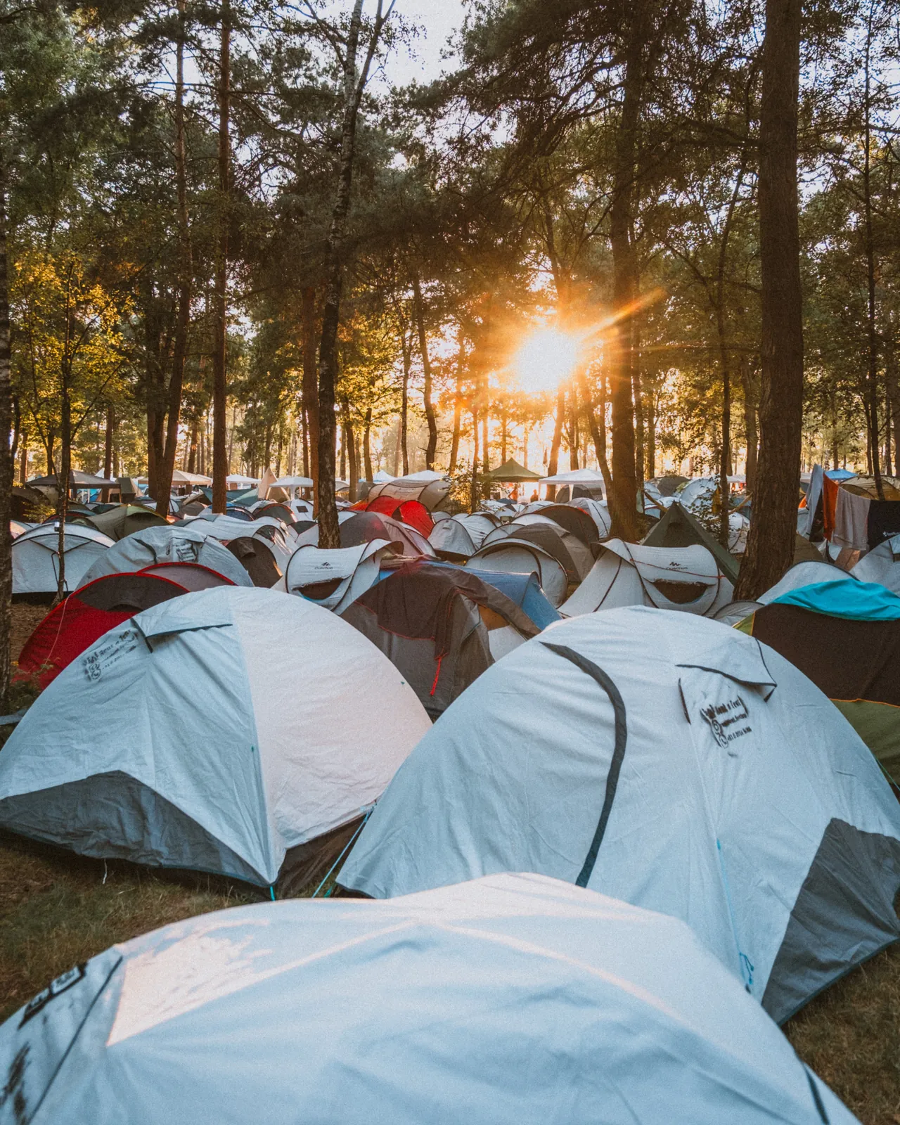 Le camping sous les pins de Beekse Bergen au soleil couchant, édition 2026.