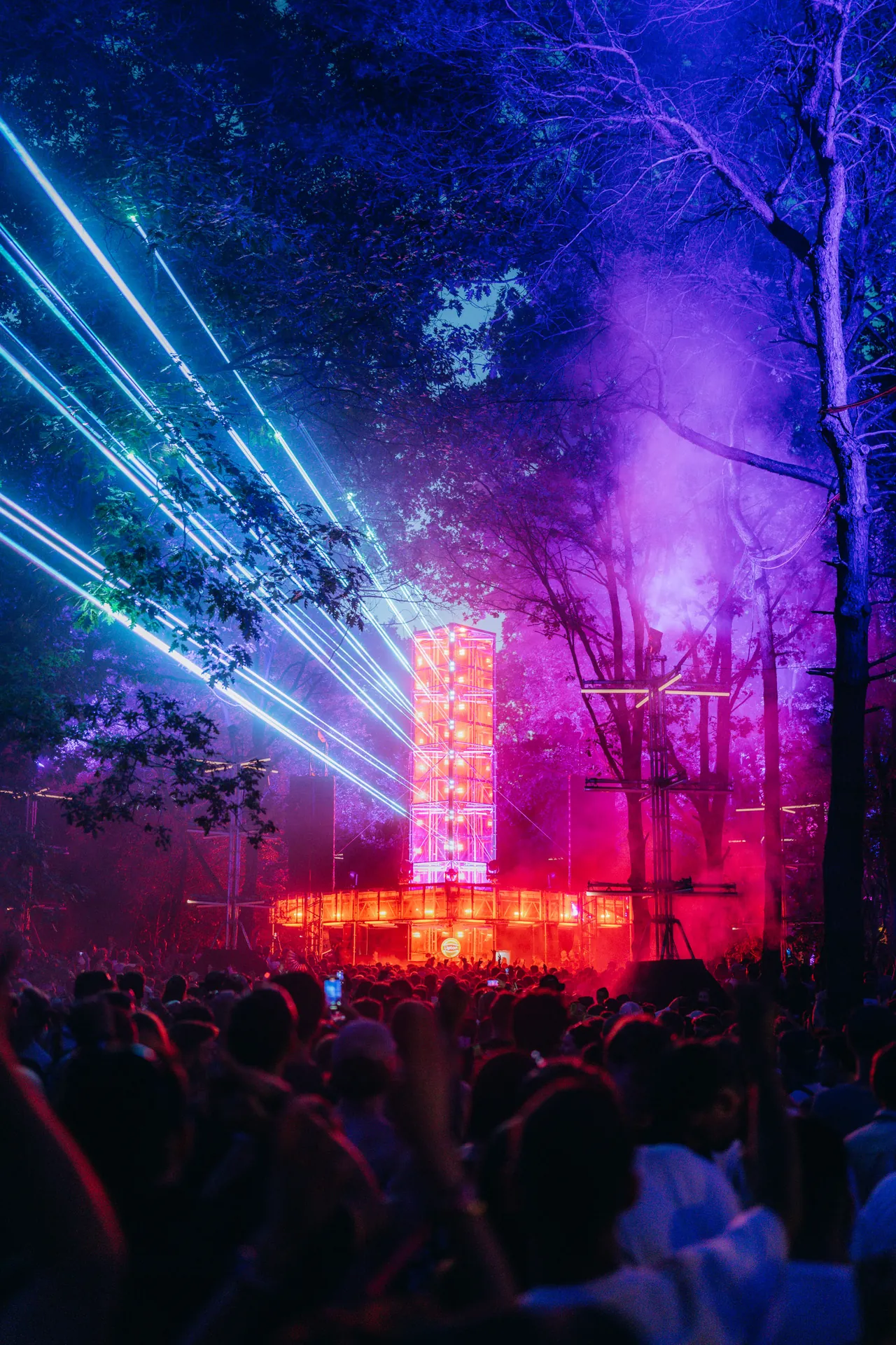 Lasers à travers les arbres sur la scène de la forêt, le 11 juillet 2025 au soir.