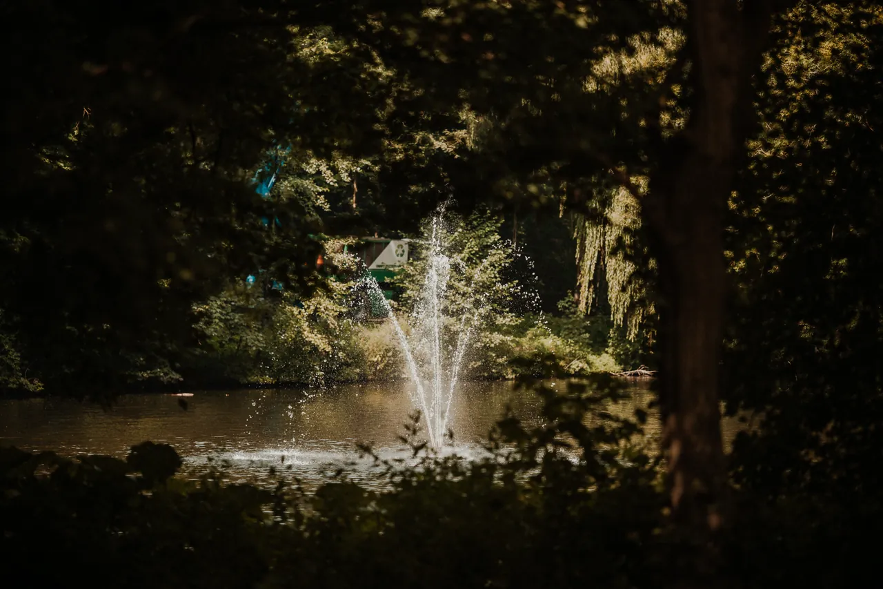 Une fontaine dans un plan d'eau boisé du Sloterpark, le samedi 9 août 2025.