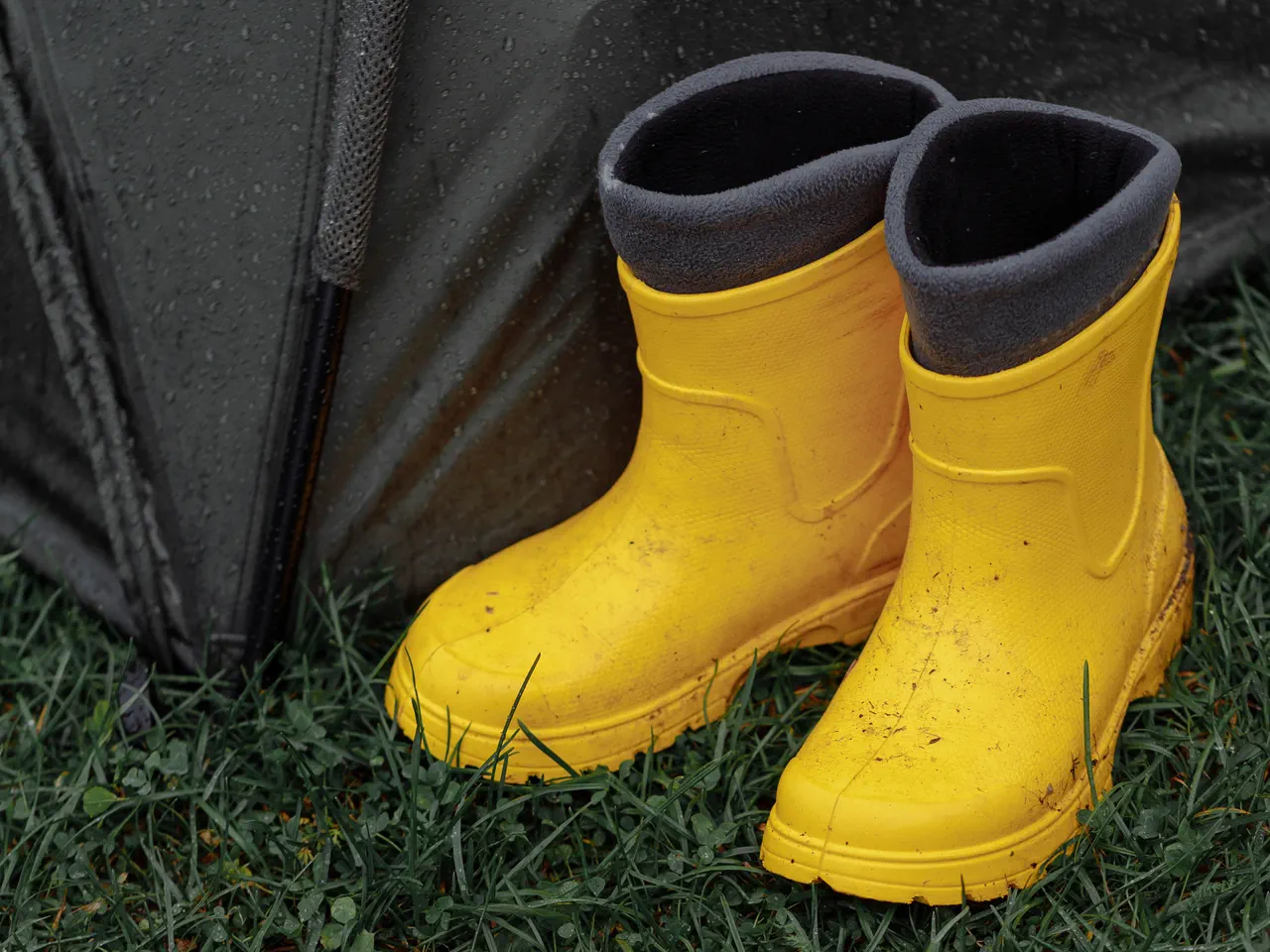 Paire de bottes de pluie jaunes posées sur l’herbe mouillée devant une tente