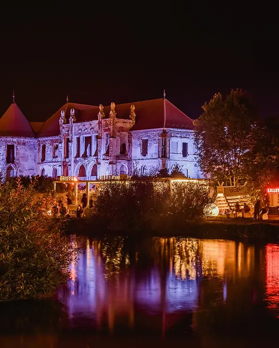 Photo de Electric Castle (Chateau Banffy, Bontida, Cluj-Napoca, Roumanie, 14 juillet 2027)
