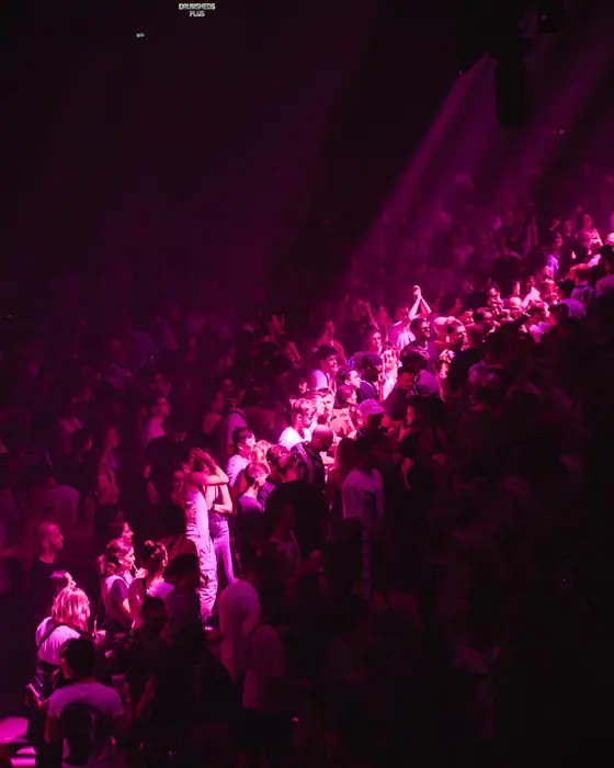Photo of La Discothèque 10th Anniversary (Drumsheds, London, UK, 13 November 2026)