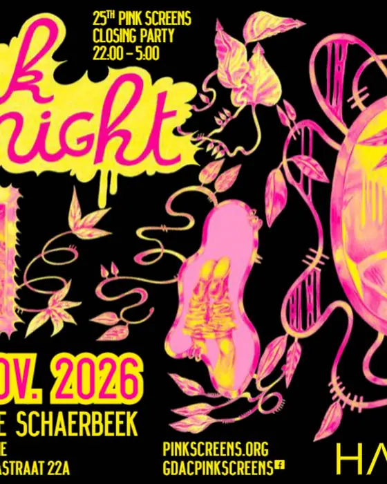 Photo de Pink Night (Les Halles de Schaerbeek, Brussels, Belgique, 7 novembre 2026)