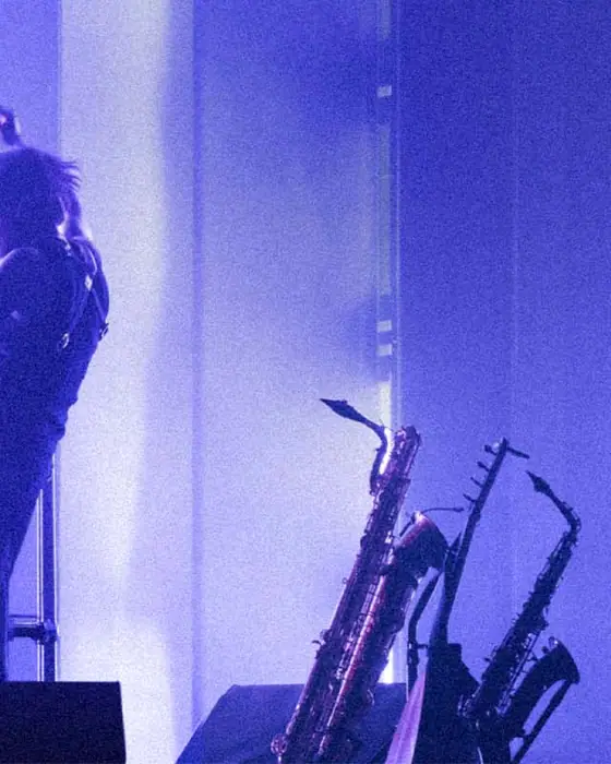 Photo de Thylacine au MeM (Le MeM, Rennes, France, 21 janvier 2027)