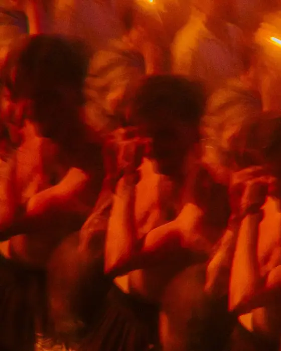 Photo de Curated by Phemia: Justine Perry & Pooja B (Traum, Antwerp, Belgique, 30 octobre 2026)